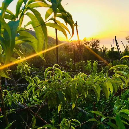 Casa Aprea 度假居