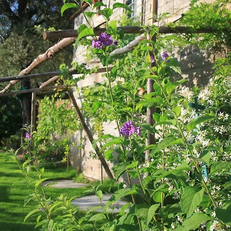 Casa Aprea * 索伦托