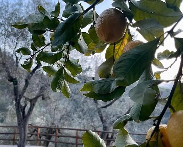 Casa Aprea Holiday home