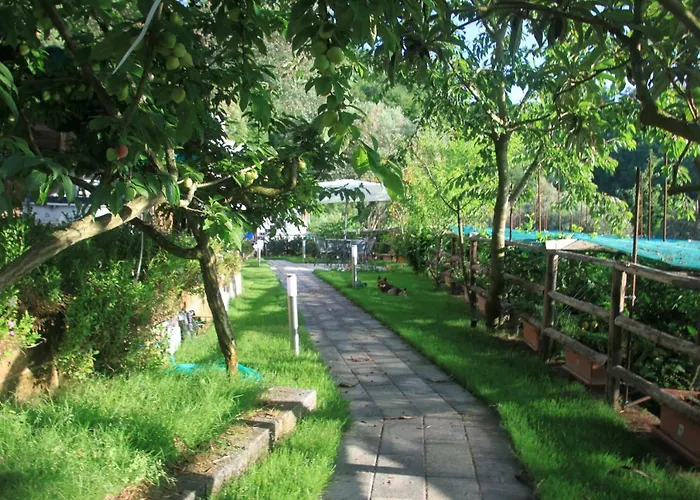 Casa Aprea Holiday home Sorrento