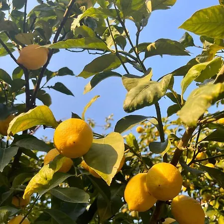 Casa Aprea Ferienhaus *