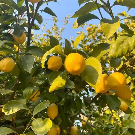 Casa Aprea Ferienhaus *