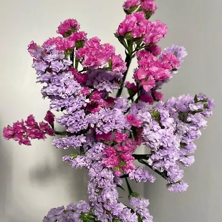 Casa Aprea Ferienhaus