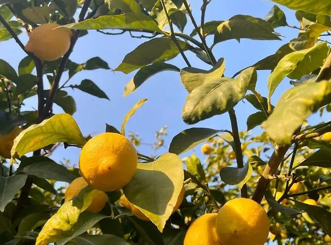 Casa Aprea Prázdninový dům *