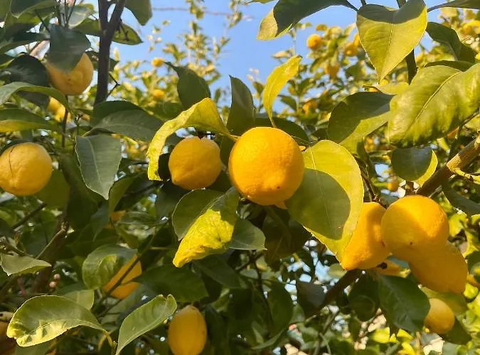 Casa Aprea Prázdninový dům *