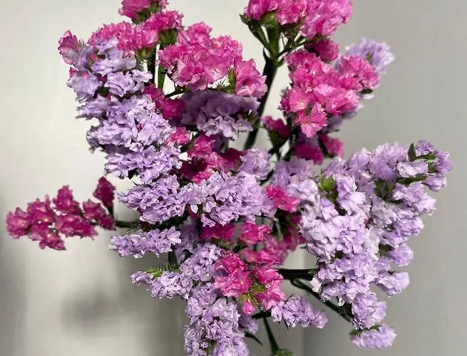 Casa Aprea Prázdninový dům